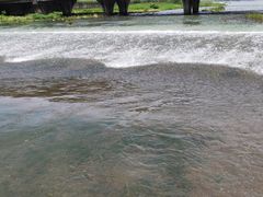 -楠溪江风景名胜区