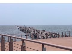 -东疆建设开发纪念公园