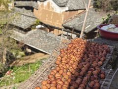 -杨家堂村