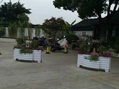 -亭林园-华藏寺