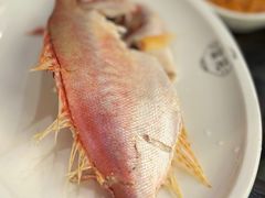 -吴记富苑(朝阳店)