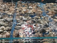 -徐记海鲜(梅溪新天地店)