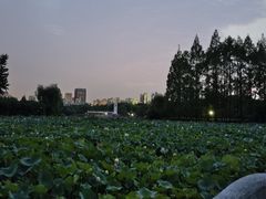-黄兴公园