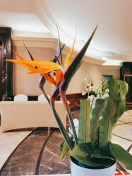 -上海瑞金洲际酒店·宴会厅
