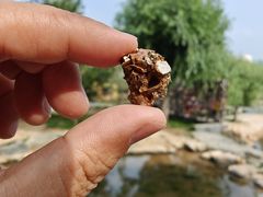 -黄金博物馆