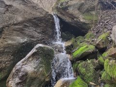 -太平万花山景区