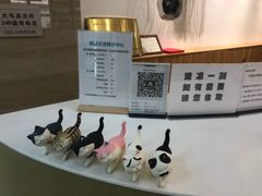 -美联众合动物医院·24h转诊中心