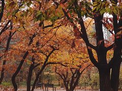 -国家植物园南园