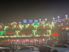 -枇杷园食为鲜火锅(南山店)