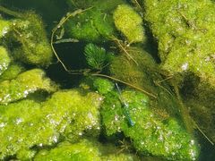 -野三坡清泉山风景区