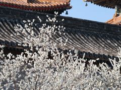 -雍和宫(地铁站)