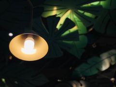 -苏梅花园(群星城店)