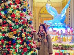 -上海和平饭店 Fairmont Peace Hotel