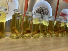 -鲜菌江湖正宗野生菌火锅