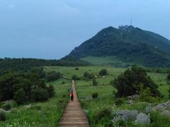 -白草畔自然风景区