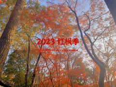-秋霞圃