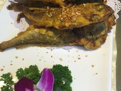 -粤秀小厨·广式早茶(辽宁路店)