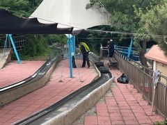 -富斯特索道