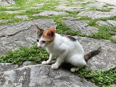 -静安公园(静安寺街道)