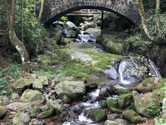 -藏龙百瀑风景区