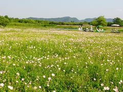 -良渚古城遗址公园