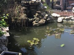 -漫渡庄绿岛花园•隐世庭园菜(滨湖店)