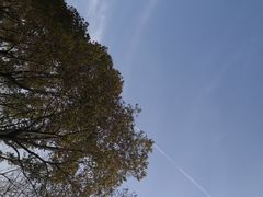 -嘉北郊野公园