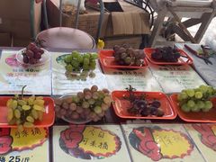 -马陆小张葡萄园农家乐