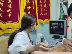 -中农大我爱我爱24h动物医院·中医针灸·猫专科·骨科医疗中心(双井店)