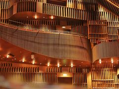 -交通银行前滩31演艺中心