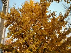 -长江路历史文化街区