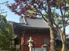 -浅草寺