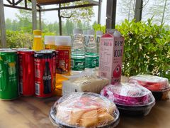 -上海海湾国家森林公园