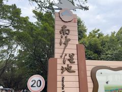 -大湾区中央湿地公园