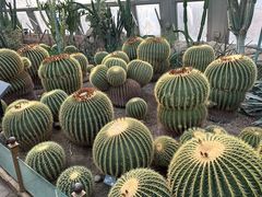 -北京植物园-展览温室