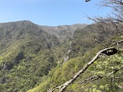 -牛背梁国家森林公园