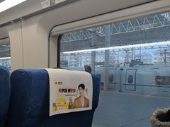 -合肥火车站(地铁站)