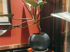 -皇城根·鲁菜济南菜·吊炉烤鸭·炒鸡鱼头(济南旗舰店)