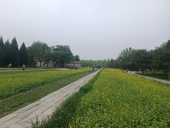 -北坞公园
