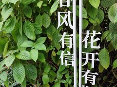 -云溪植物园