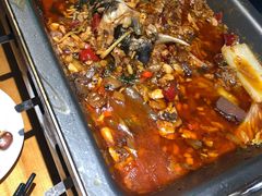 -黑猫馋纸包鱼(阳光店)