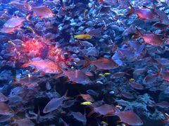 -成都浩海立方海洋公园