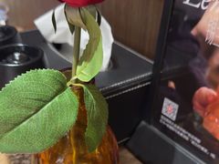 -ZAFFERANO西班牙海鲜饭(上海首店)