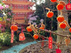 -上海辰山植物园