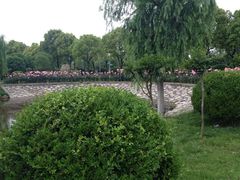 iphone_upload_pic-上海鲜花港