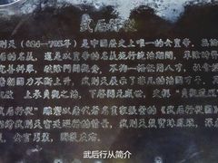 -大雁塔北广场音乐喷泉