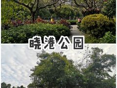 -晓港公园