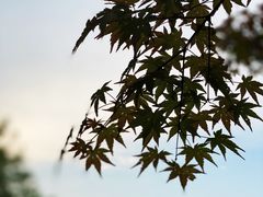 -白塘生态植物园