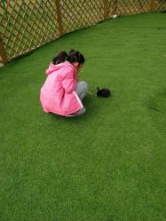 -萌宠亲子动物乐园(槐房万达店)