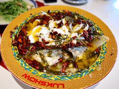 招牌酸菜鲈鱼-禄鼎记·多口味酸菜鱼(侨鑫店)